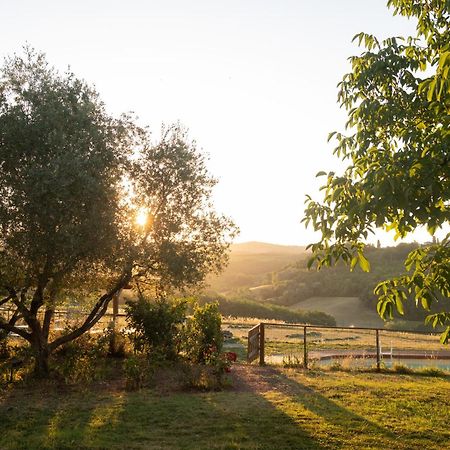 Agriturismo Le Tre Pietre - Podere Nel Chianti Quercegrossa Exteriér fotografie