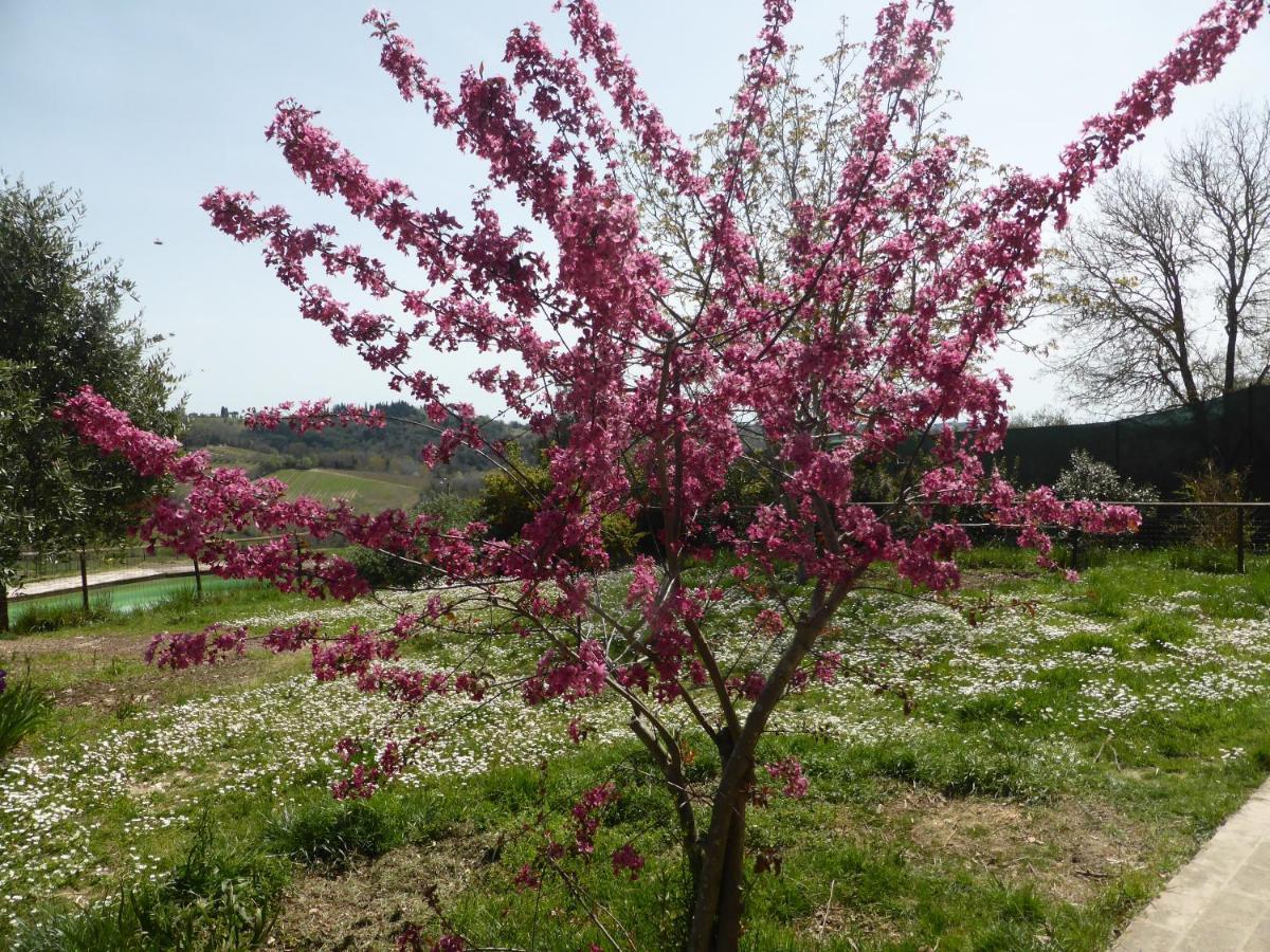 Agriturismo Le Tre Pietre - Podere Nel Chianti Quercegrossa Exteriér fotografie