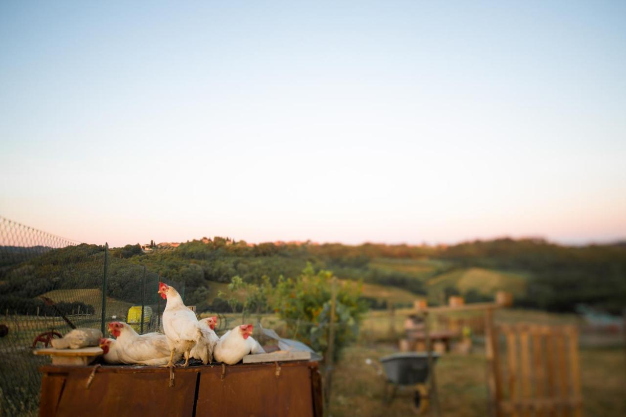 Agriturismo Le Tre Pietre - Podere Nel Chianti Quercegrossa Exteriér fotografie