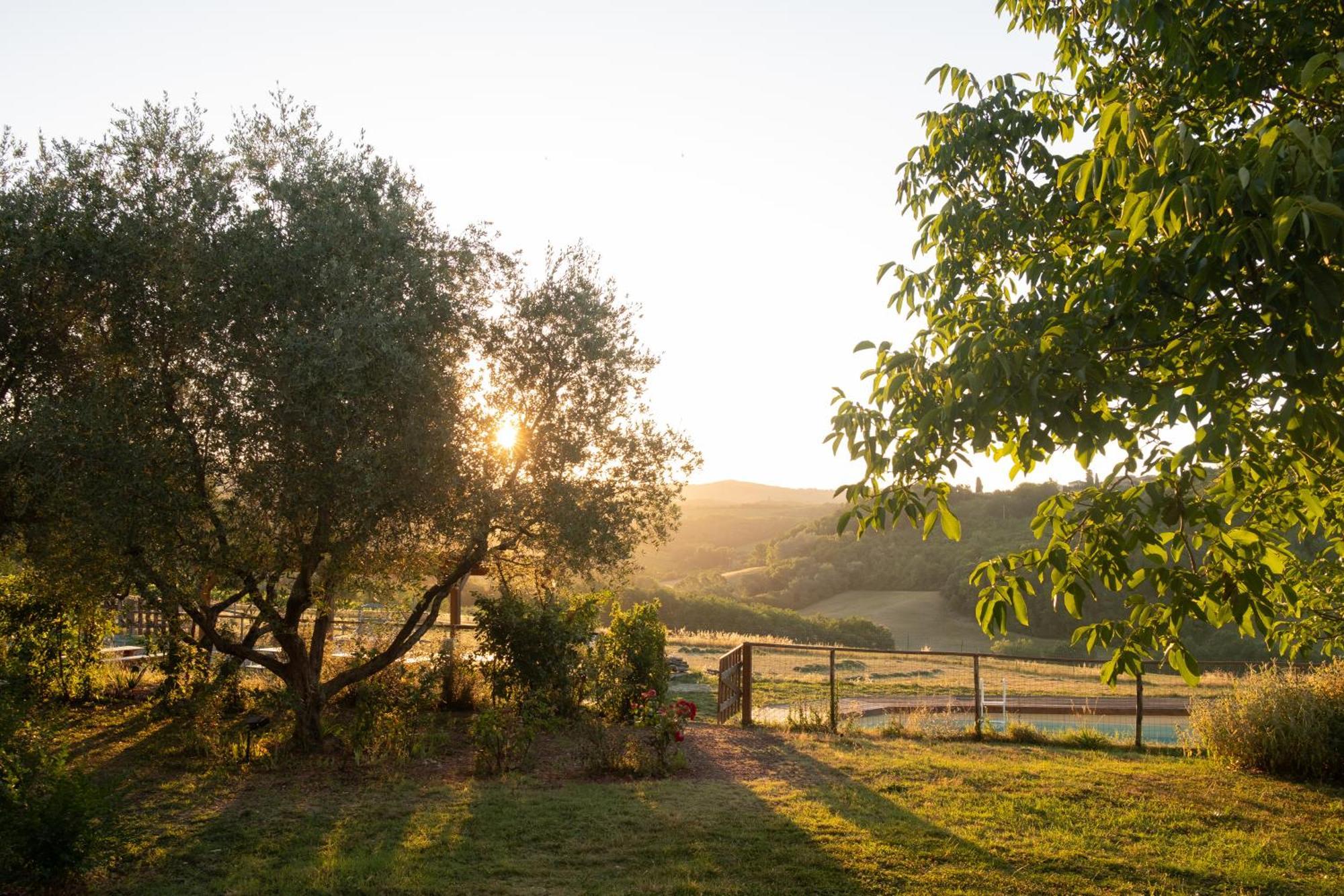 Agriturismo Le Tre Pietre - Podere Nel Chianti Quercegrossa Exteriér fotografie