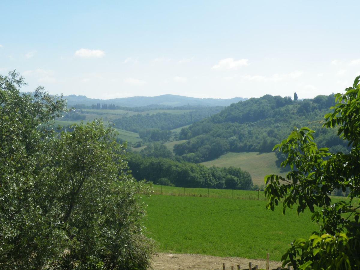 Agriturismo Le Tre Pietre - Podere Nel Chianti Quercegrossa Exteriér fotografie