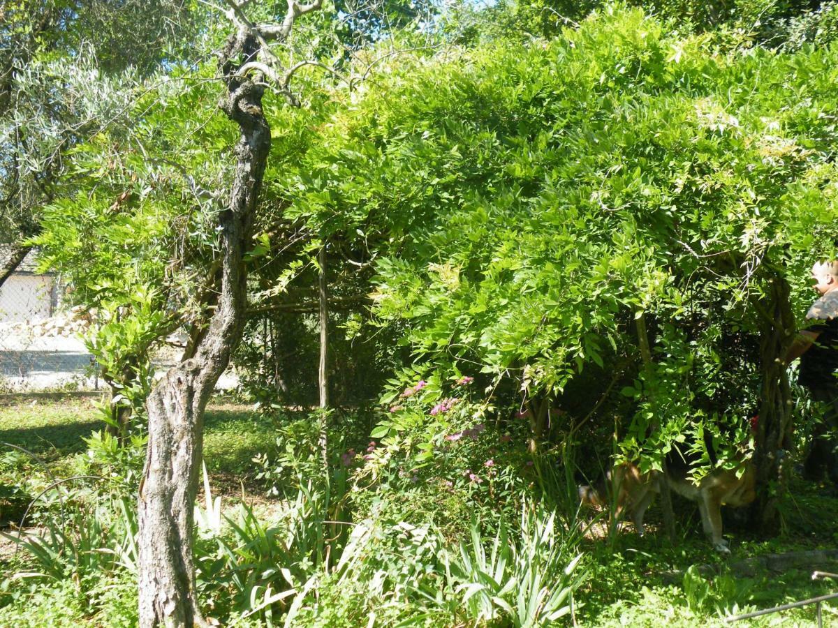 Agriturismo Le Tre Pietre - Podere Nel Chianti Quercegrossa Exteriér fotografie